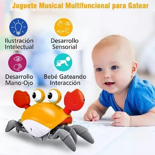 Cangrejo Musical Interactivo 🦀